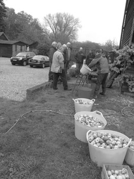 Bed and breakfast cider making