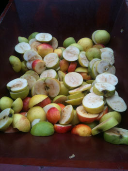 hotel cider making apples