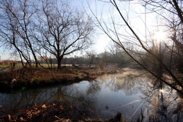 bed and breakfast Holybourne